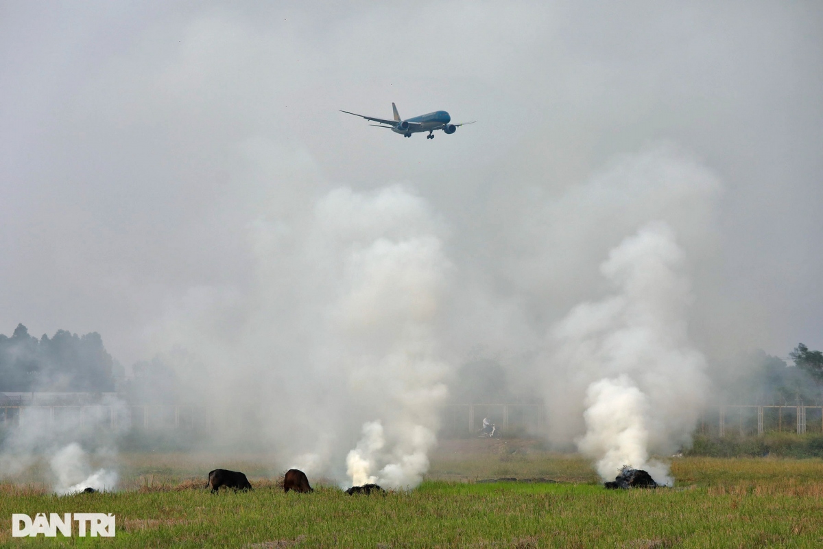 Many domestic flights cancelled due to smoke from straw burning